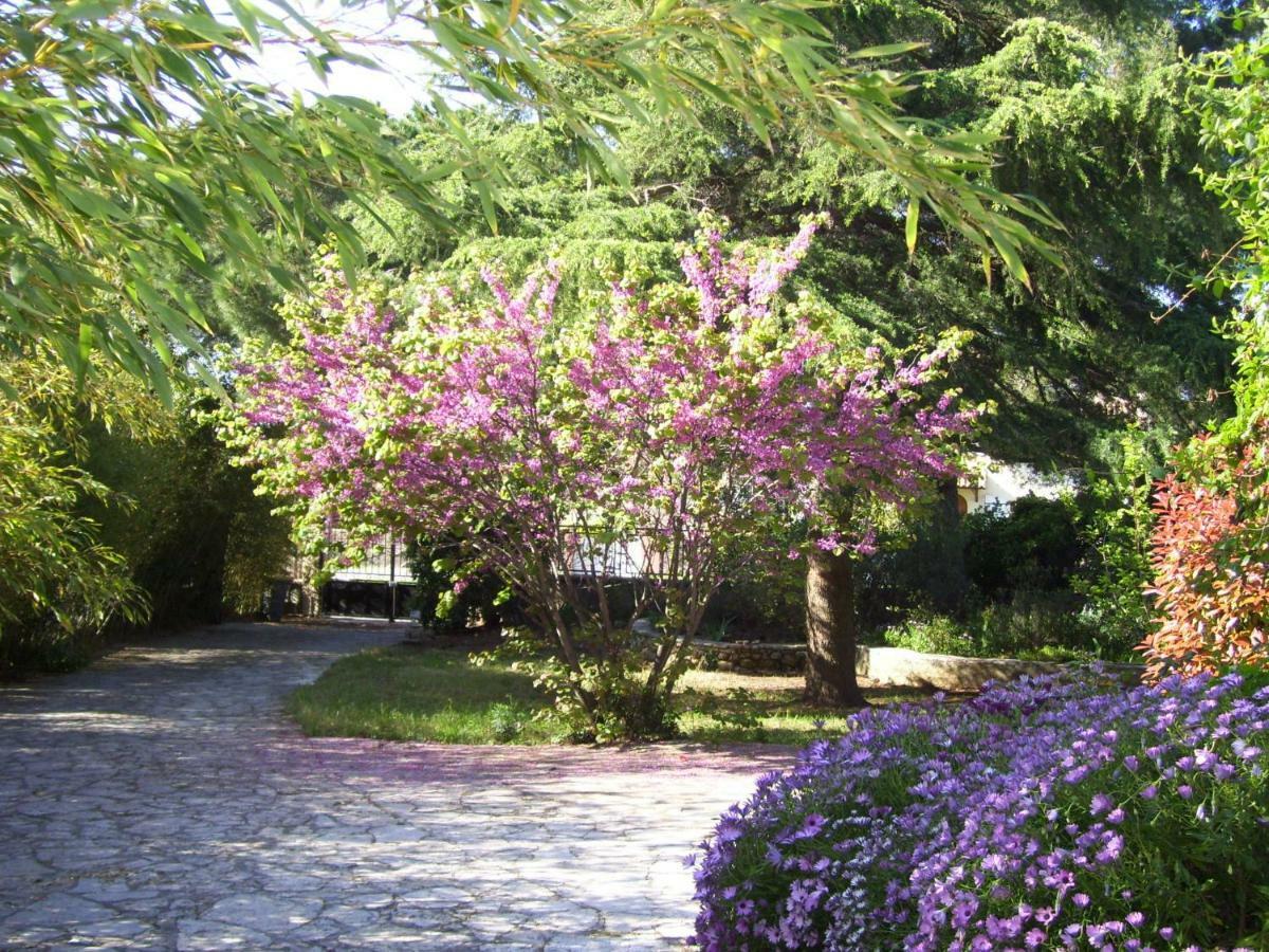 Le Paradis De Valerie Sète Exterior foto